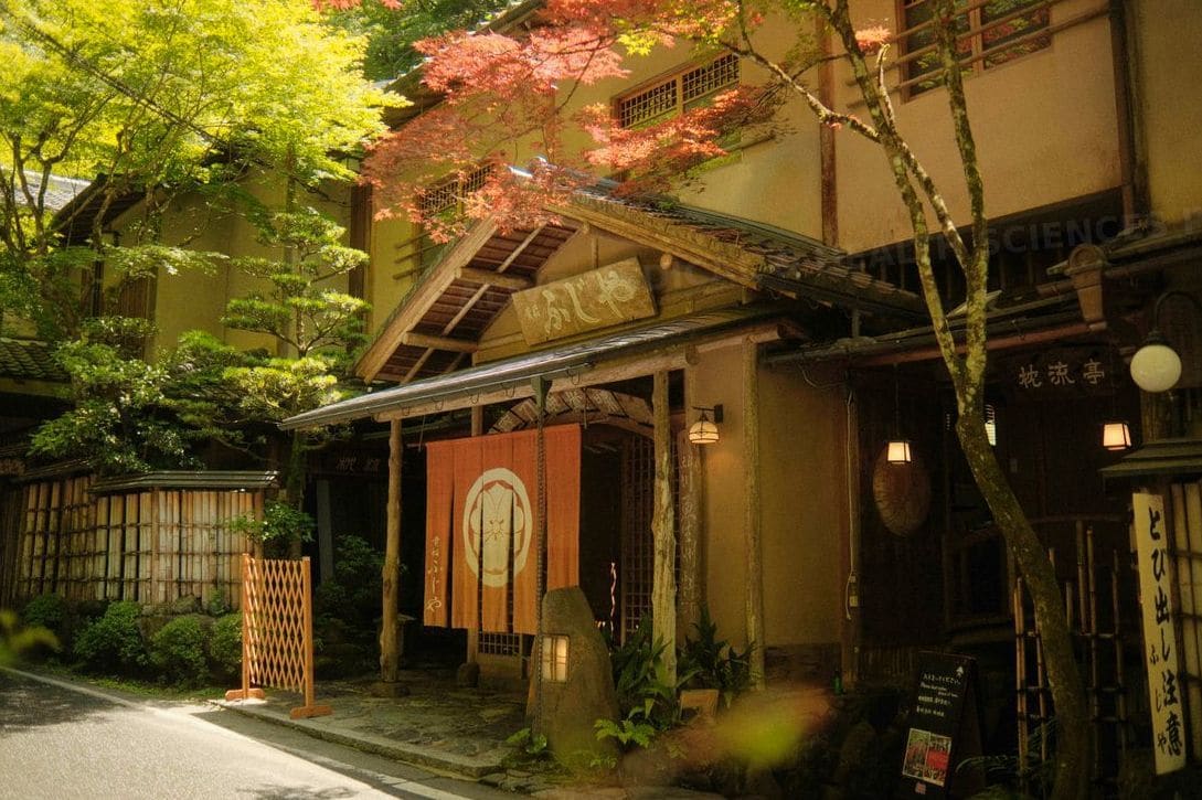 旬彩会席料理の提供